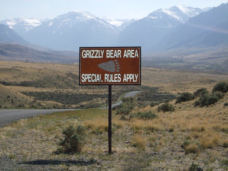 The Picturesque South Fork of Cody, Wyoming